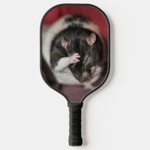 Headache! Pickleball Paddle