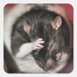 Headache! Square Sticker