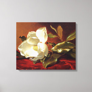 Heade - A Magnolia on Red Velvet Canvas Print