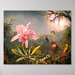 Heade - Cattleya Orchid and Three Hummingbirds Poster