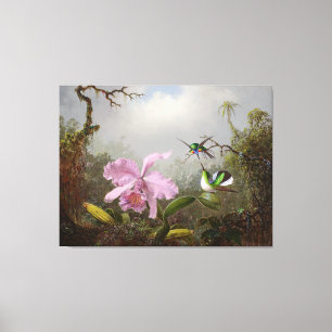 HEADE  Cattleya Orchid with Brazilian Hummingbirds Canvas Print