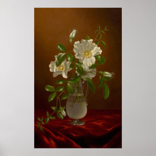 Heade - Cherokee Roses In A Glass Vase Poster