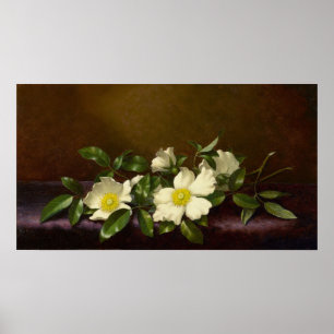 Heade - Cherokee Roses On A Purple Cloth 1894 Poster