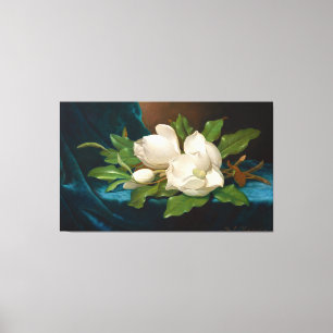HEADE Giant Magnolias on a Blue Velvet Cloth 1890  Canvas Print