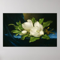 Heade - Giant Magnolias On A Blue Velvet Cloth