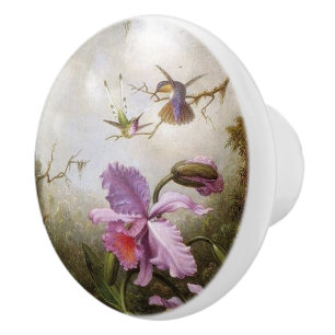 Heade Hummingbird Birds Animals Floral Knob