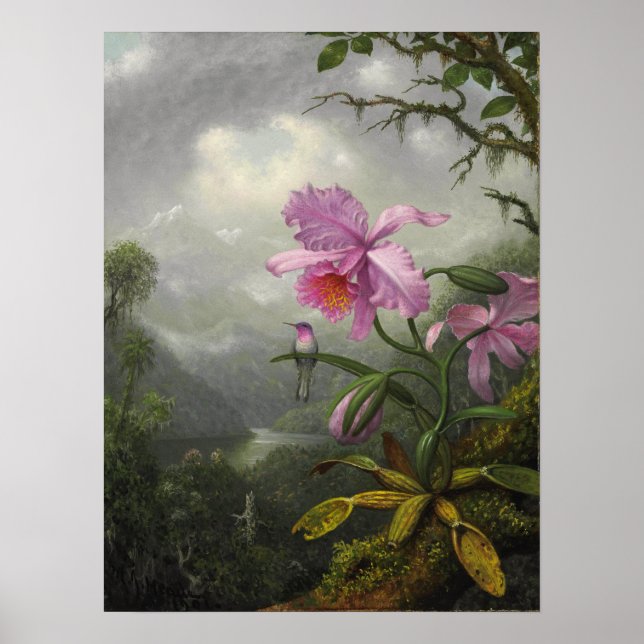 Heade - Hummingbird Perched On The Orchid Plant Poster (Front)