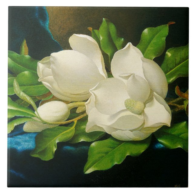Heade Magnolia Flower Blossoms Ceramic Tile (Front)