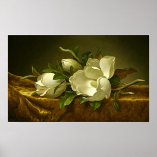 Heade - Magnolias On Gold Velvet Cloth Poster