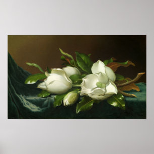 Heade - Magnolias On Light Blue Velvet Cloth Poster