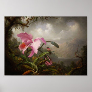 Heade - Orchid And Hummingbird Poster