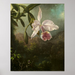 Heade - Orchid Blossoms Poster
