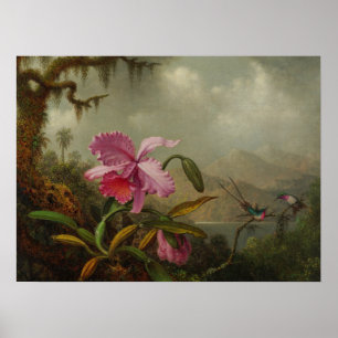 Heade - Orchids And Hummingbirds 1875 Poster