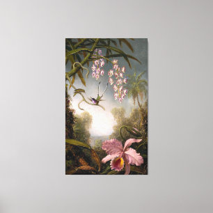 HEADE - Orchids and Spray Orchids with Humminbirds Canvas Print
