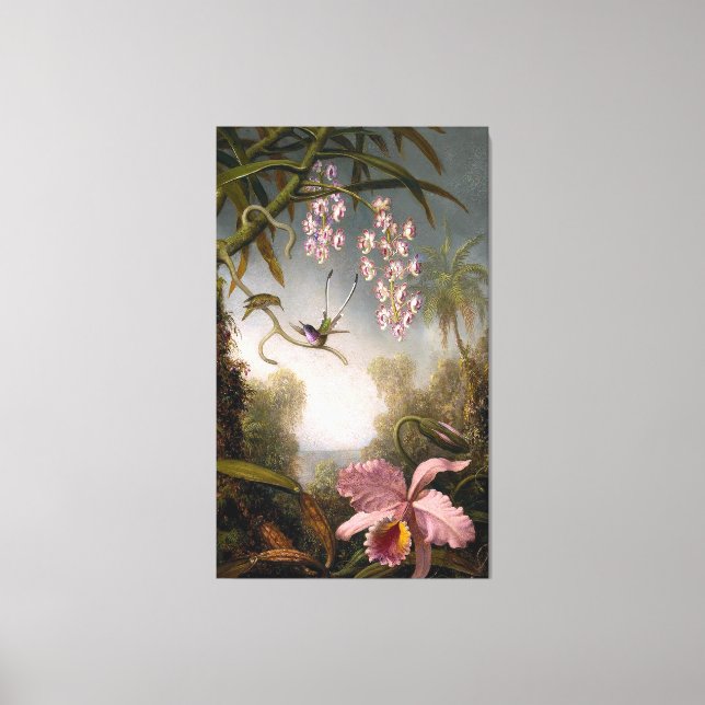 HEADE - Orchids and Spray Orchids with Humminbirds Canvas Print (Front)