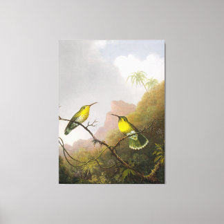 HEADE  Two Humming Birds Copper-tailed Amazili - Canvas Print