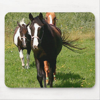 Heading Home Mouse Pad