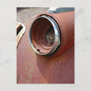 Headlight Nest Postcard