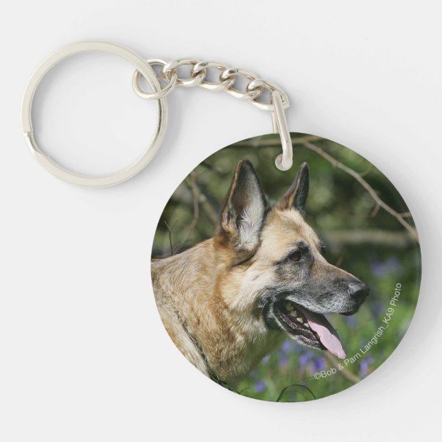 Headshot 3 de berger allemand (Devant)