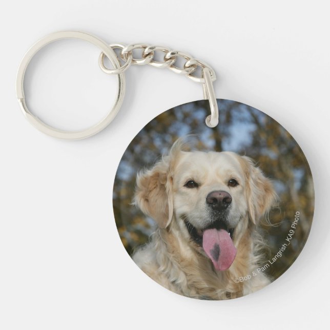 Headshot 3 de golden retriever (Devant)