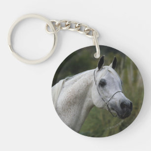 Headshot arabe 1 de cheval