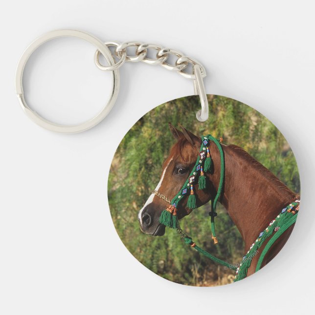 Headshot arabe de cheval avec le frein (Devant)