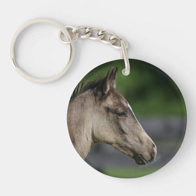 Headshot quart de poulain de cheval (Devant)
