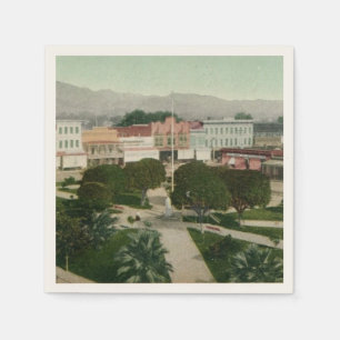 Healdsburg CA Plaza Postcard Napkin