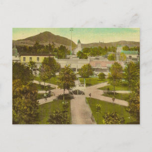 Healdsburg CA Vintage Postcard