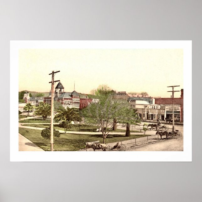 Healdsburg Town Centre Poster Print (Front)