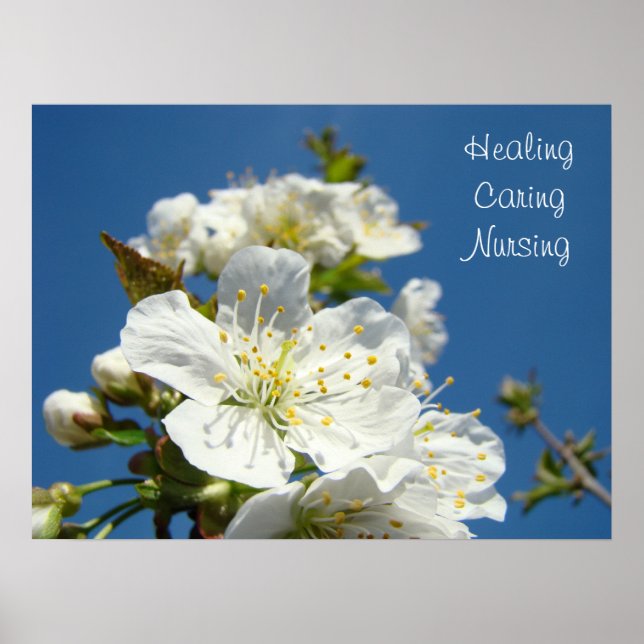 Healing Caring Nursing posters Blue Sky Blossoms (Front)