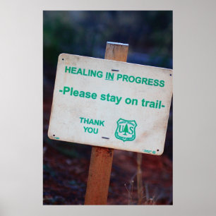 Healing In Progress Poster