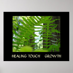 HEALING TOUCH Healthcare Art Gifts FERNS Art Print