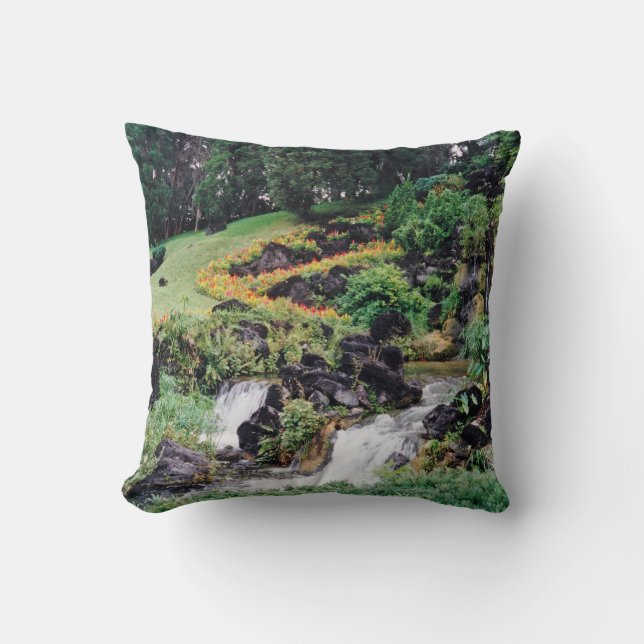 Healing Water Throw Pillow (Front)