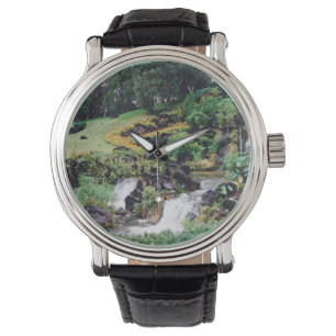 Healing Water Watch