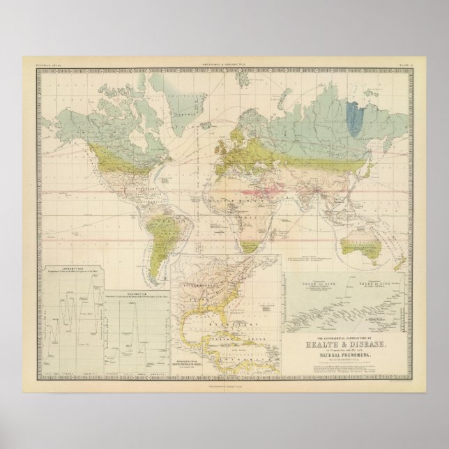 Health, disease poster (Front)