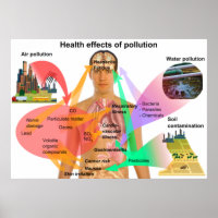 Health Effects of Pollution on the Human Body