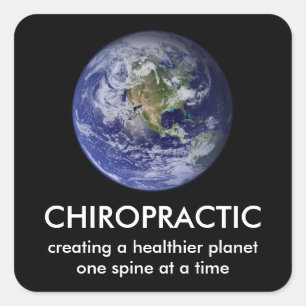 Healthier Planet Chiropractic Stickers