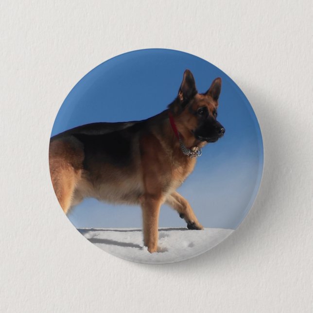 Healthy And Happy German Shepherd Dog 2 Inch Round Button (Front)