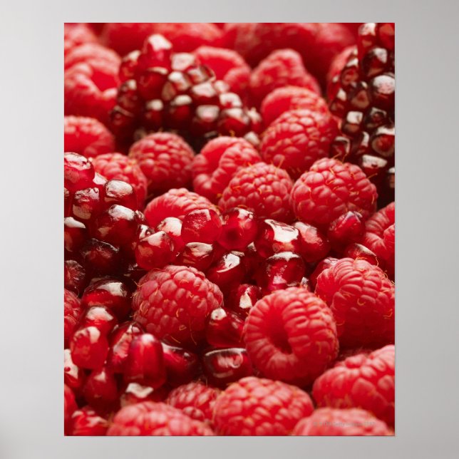 Healthy and nutritious red berries poster (Front)