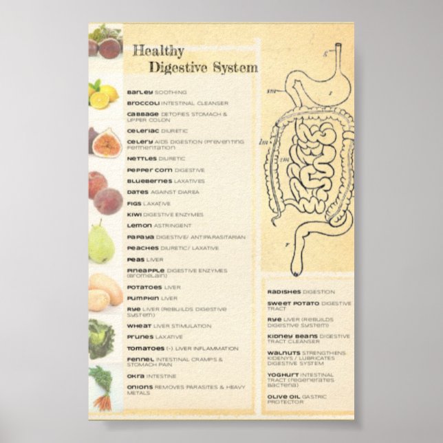 Healthy Digestive System Poster (Front)