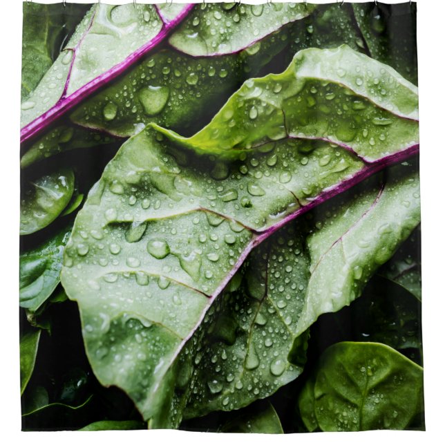 Healthy Fruits (Front)