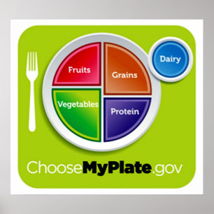 Healthy Meal Planning Choose My Plate Poster