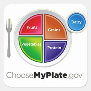 Healthy Meal Planning Choose My Plate Square Sticker