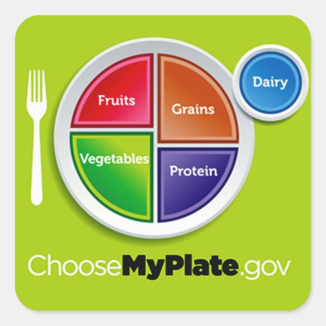 Healthy Meal Planning Choose My Plate Square Sticker (Front)