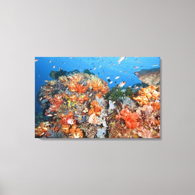 Healthy reef structure, Komodo National Park Canvas Print (Front)