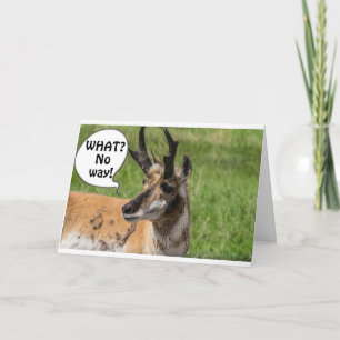 HEARD FROM THE HERD THAT YOU ARE **40** WOW CARD