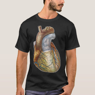Heart anatomically correct 1 T-Shirt
