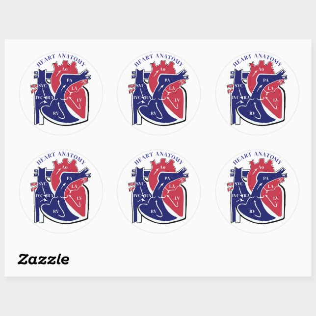 Heart Anatomy- Classic Round Sticker (Sheet)