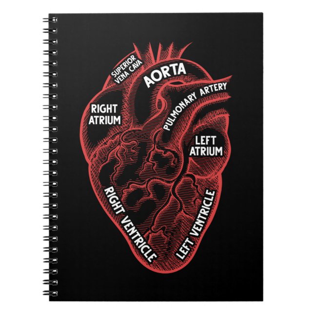 Heart Anatomy Education Cardiology Notebook (Front)